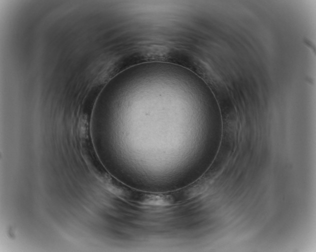X0000098160083200804241813