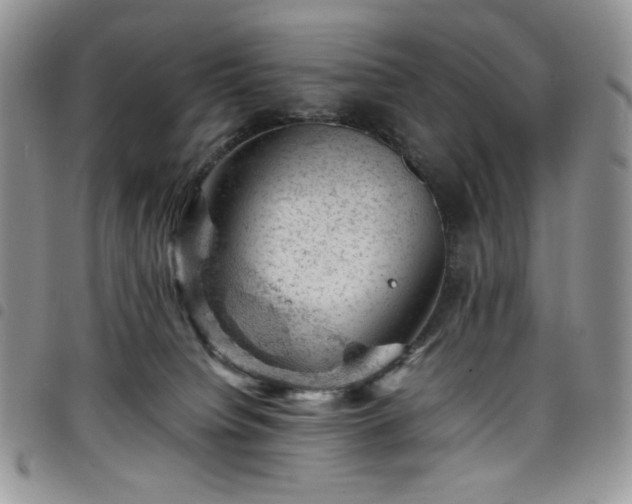 X0000098160084200804241813