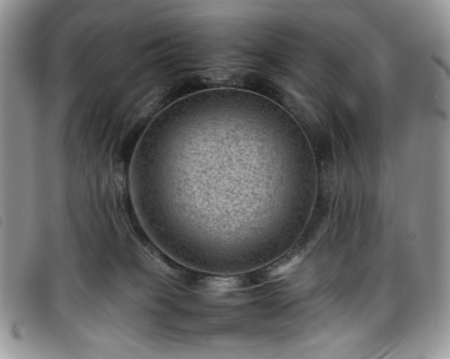 X0000098160085200804241813