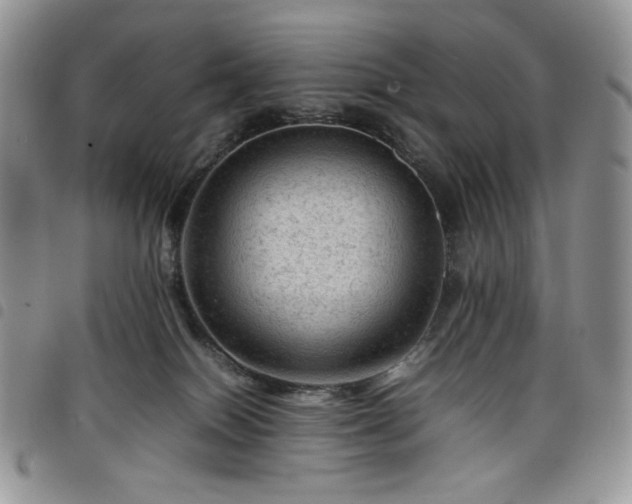 X0000098160086200804241814