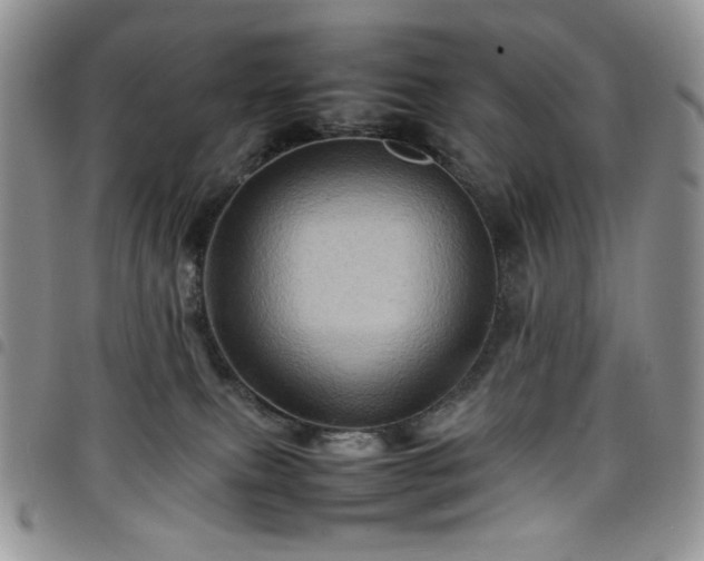 X0000098160087200804241814