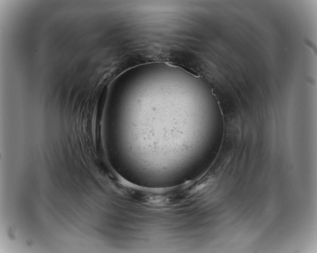 X0000098160088200804241814