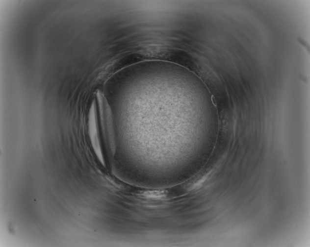 X0000098160089200804241814