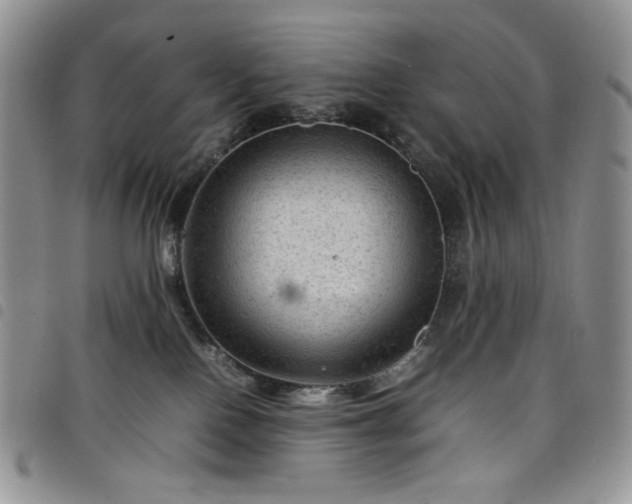 X0000098160090200804241814