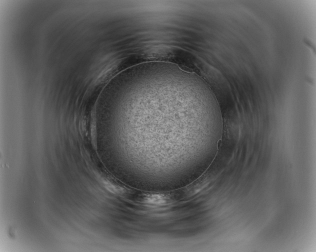 X0000098160091200804241814