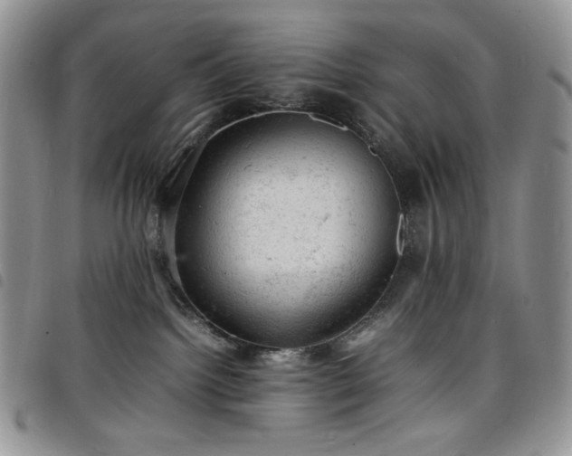 X0000098160092200804241814