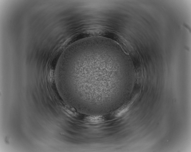 X0000098160093200804241814