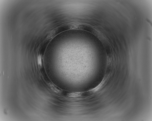 X0000098160094200804241814