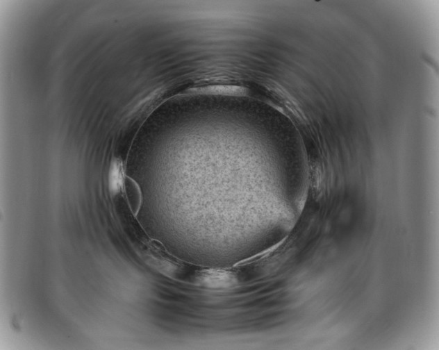 X0000098160095200804241814