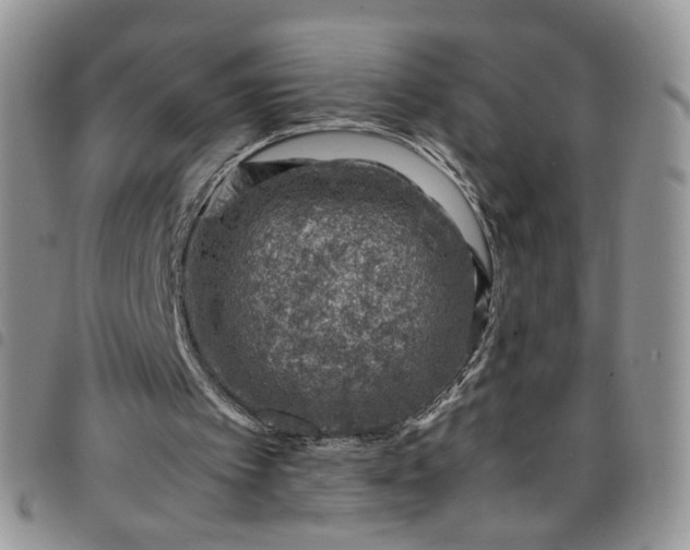 X0000098160097200804241813