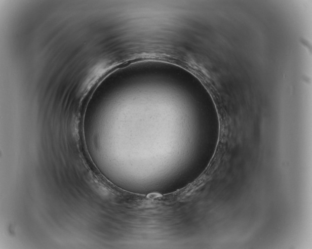 X0000098160098200804241813