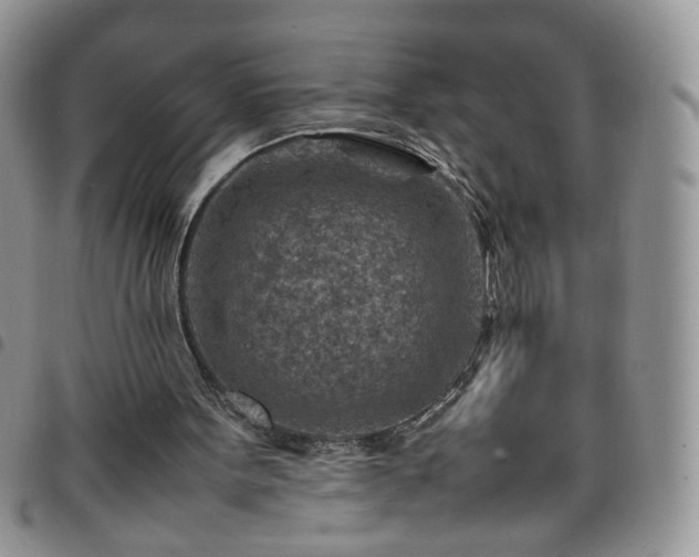 X0000098160099200804241813