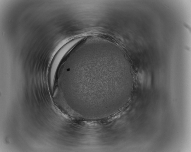 X0000098160100200804241813