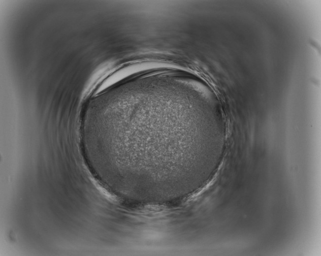 X0000098160101200804241813