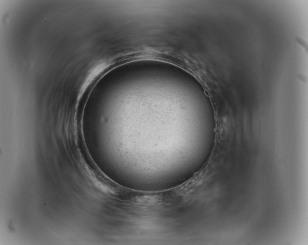 X0000098160102200804241813