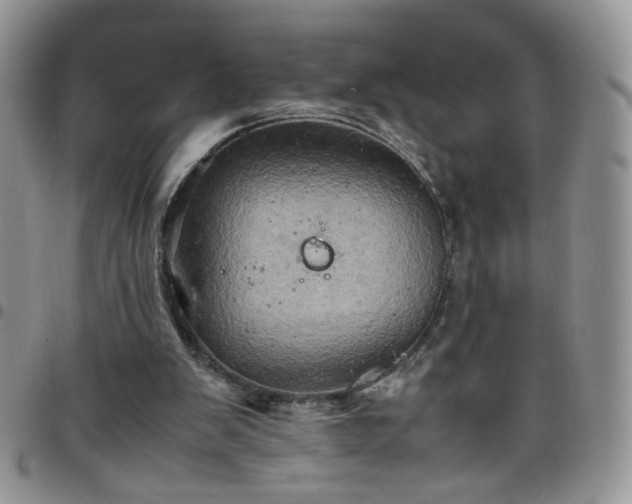 X0000098160103200804241813