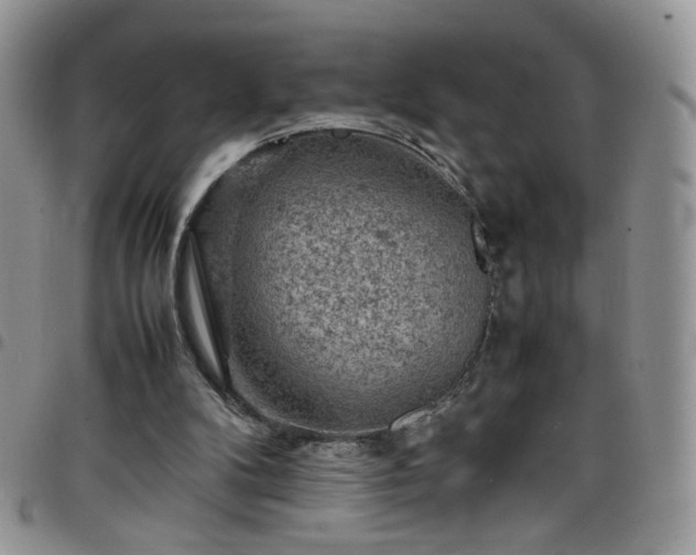 X0000098160104200804241813