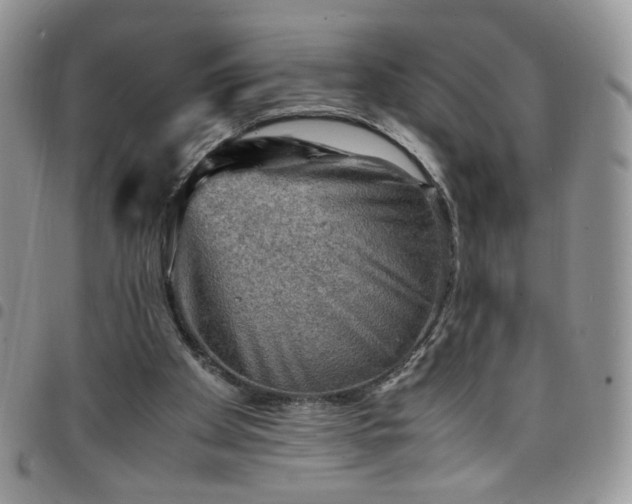 X0000098160105200804241813