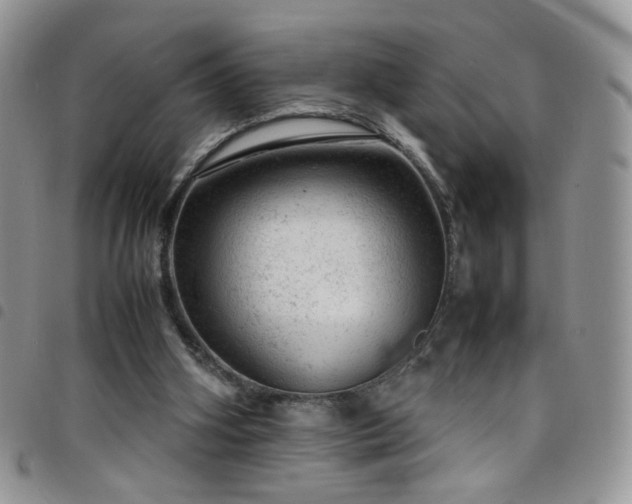 X0000098160106200804241813