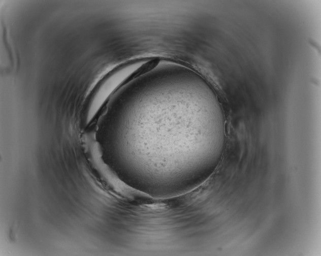X0000098160108200804241813
