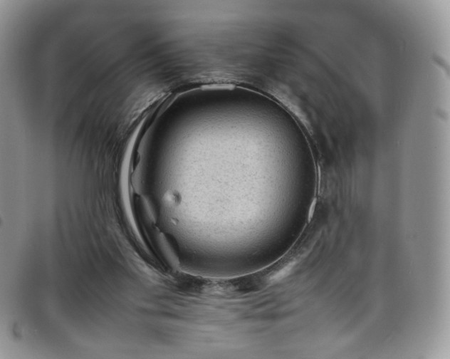 X0000098160109200804241813