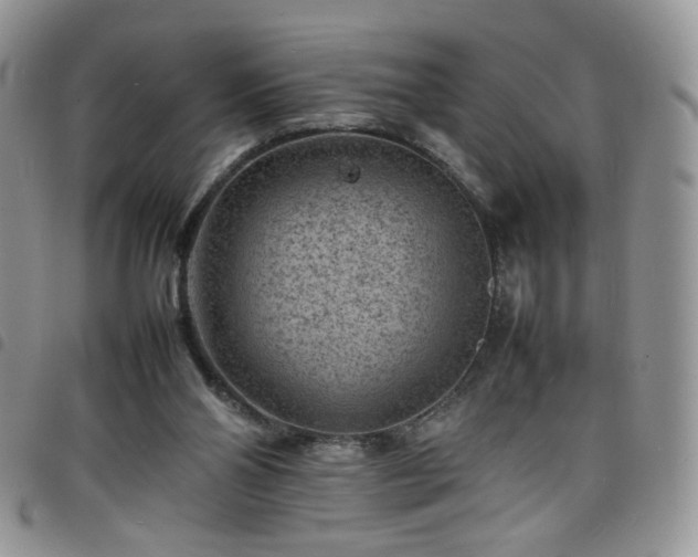 X0000098160110200804241813