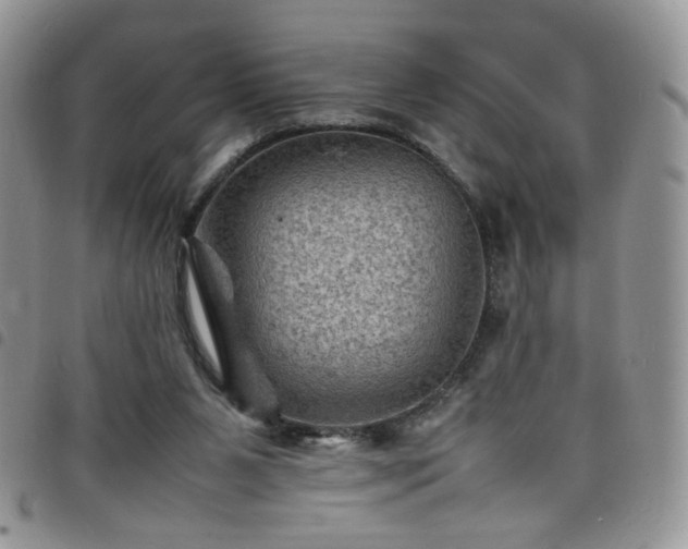 X0000098160111200804241813