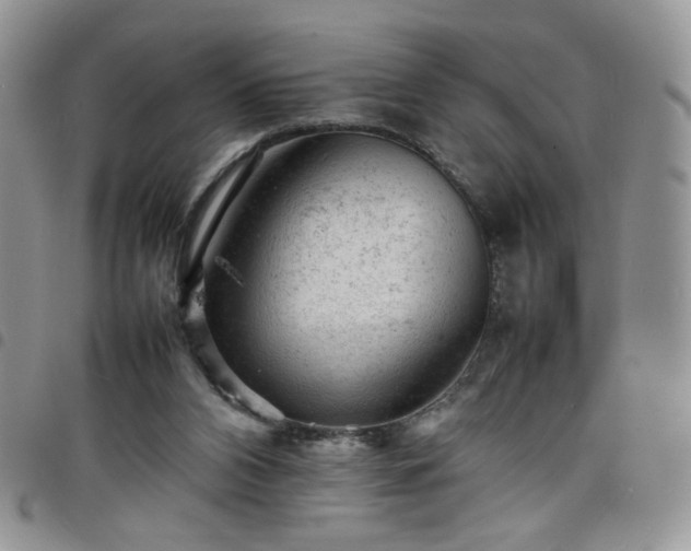 X0000098160112200804241813