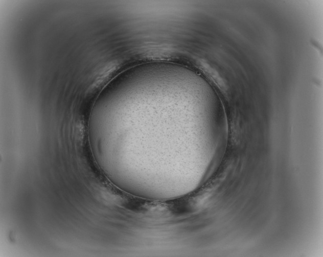 X0000098160113200804241813