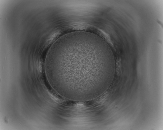 X0000098160114200804241813
