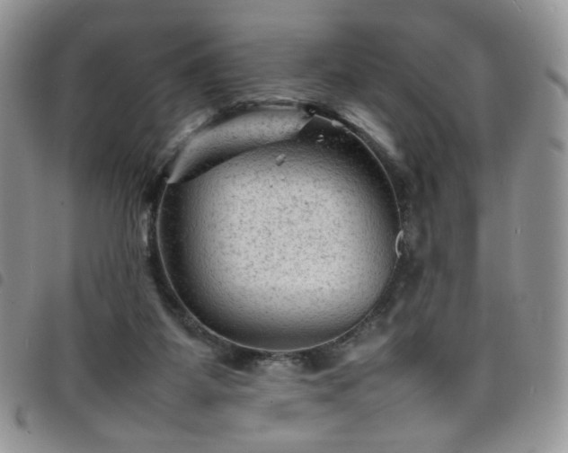 X0000098160115200804241813