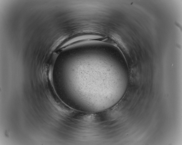 X0000098160116200804241813