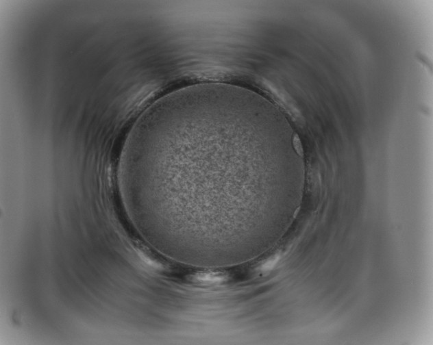 X0000098160117200804241813