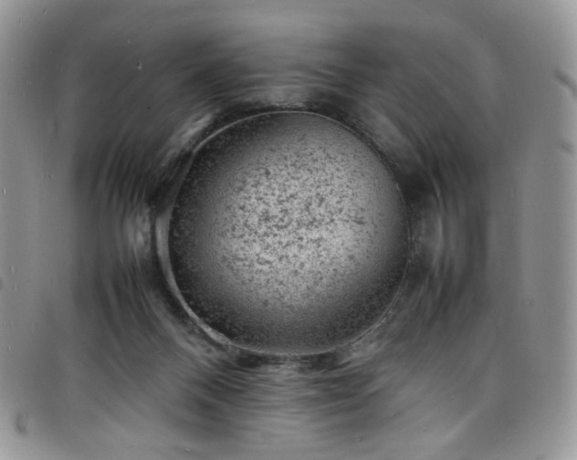 X0000098160120200804241813