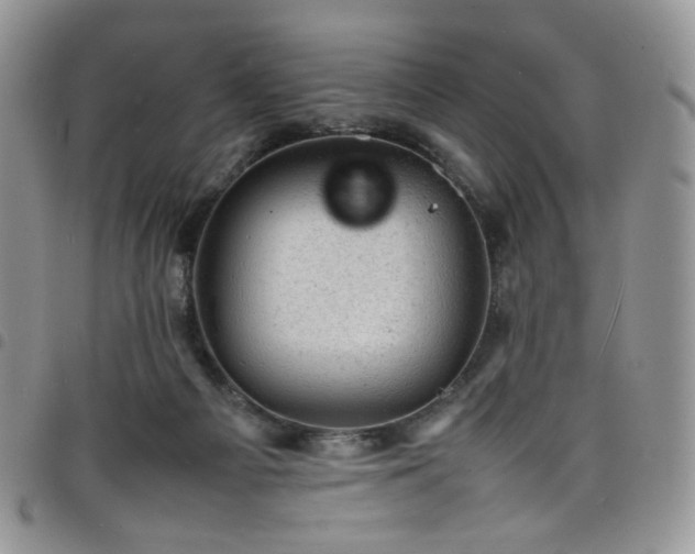 X0000098160121200804241813