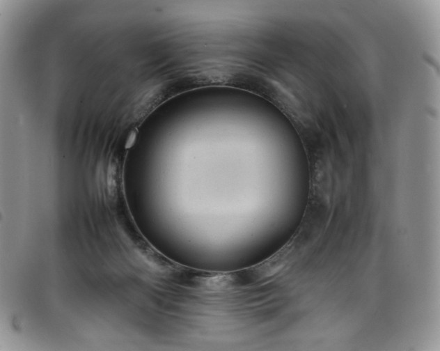 X0000098160122200804241813