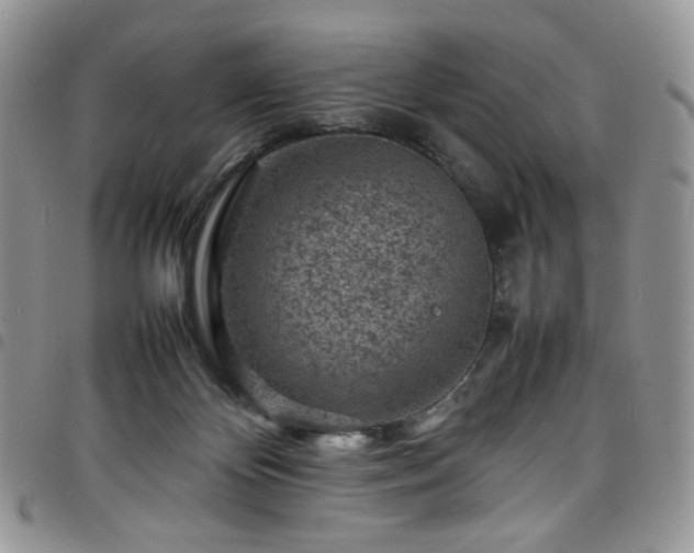 X0000098160124200804241813