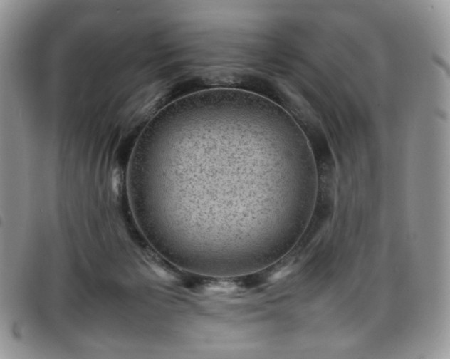 X0000098160125200804241813