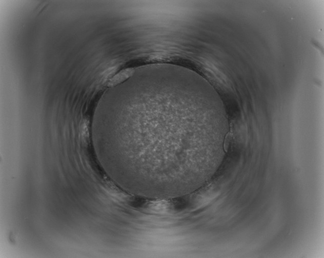X0000098160127200804241812