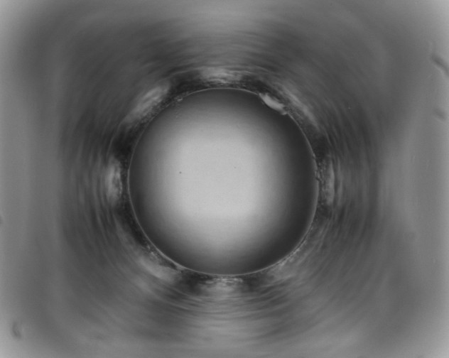 X0000098160128200804241812