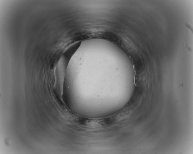 X0000098160129200804241812