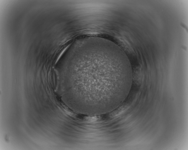X0000098160131200804241812