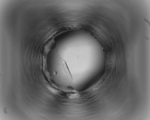 X0000098160132200804241812