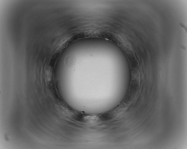 X0000098160133200804241812