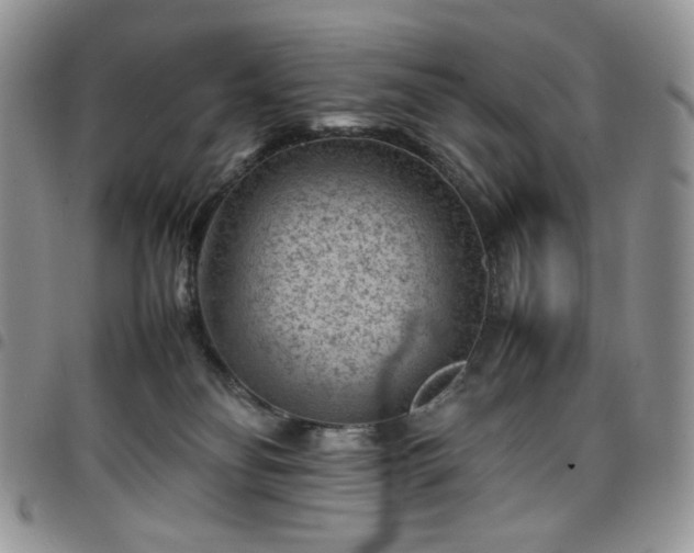 X0000098160134200804241812