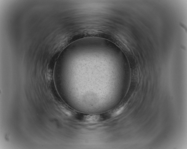 X0000098160135200804241812