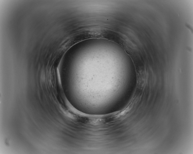 X0000098160136200804241812