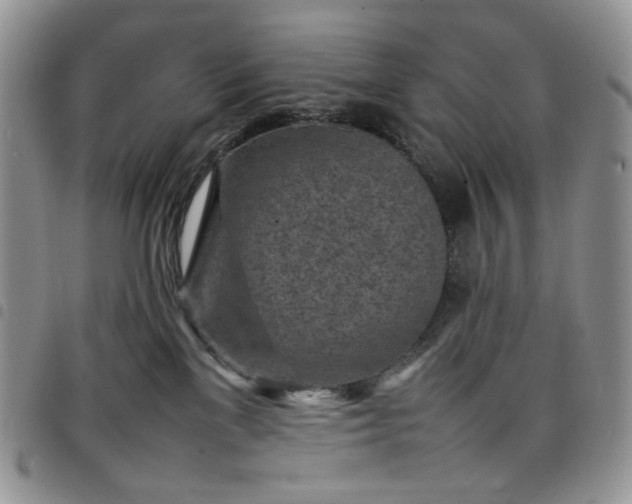 X0000098160137200804241812