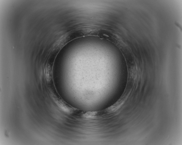 X0000098160138200804241812