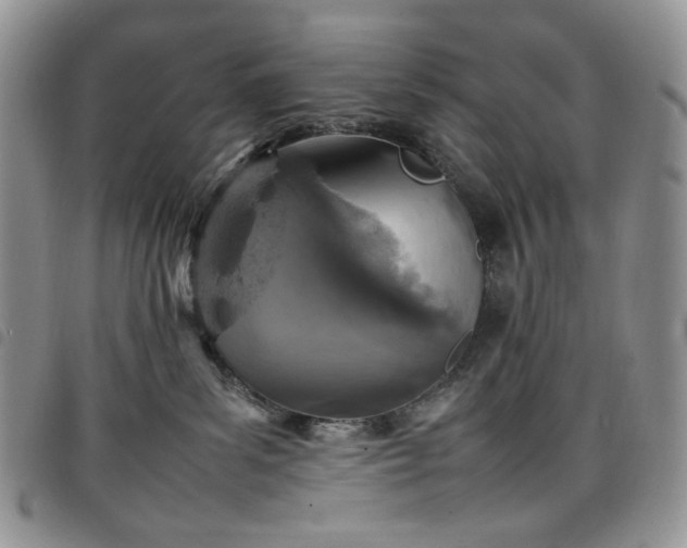 X0000098160139200804241812